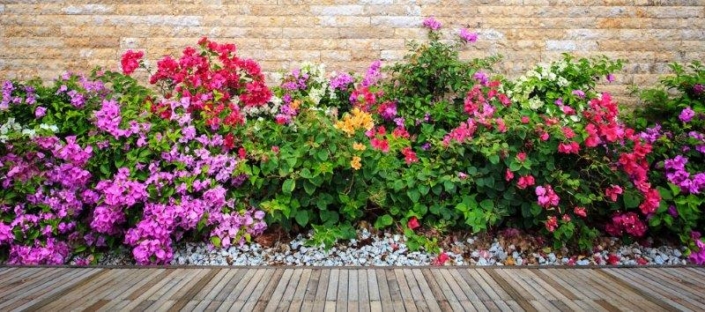 shutterstock_389014555